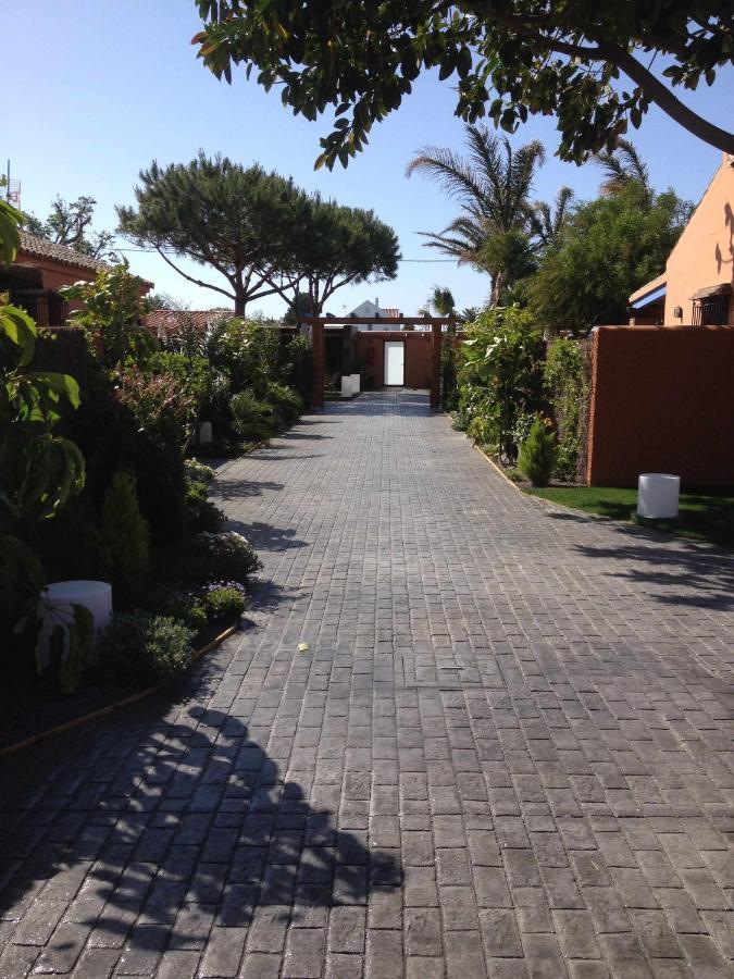 Estudio Para Pareja Con Jardincito Privado Barbaco 카디스 외부 사진